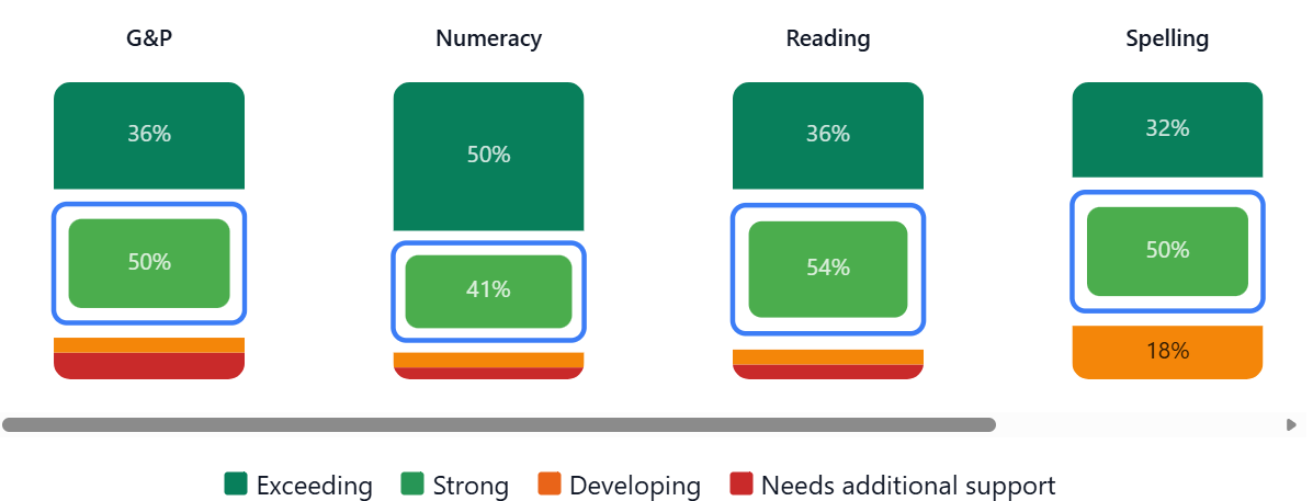 Figure 5: NAPLAN class overview (literacy and numeracy)
